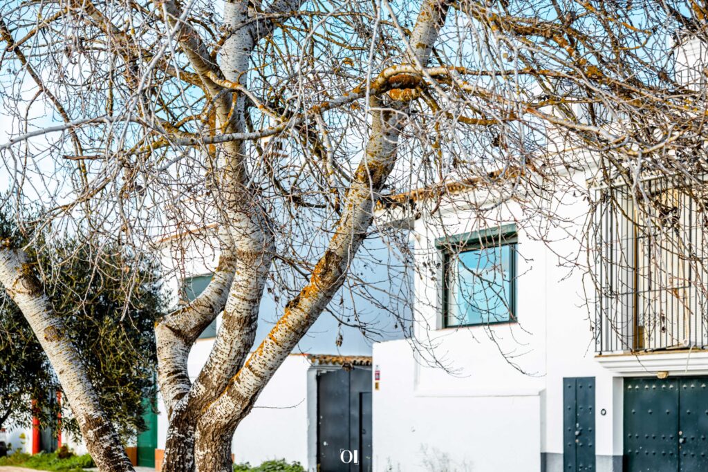 casa rural